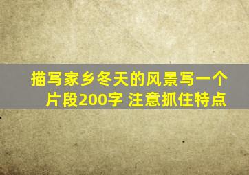 描写家乡冬天的风景写一个片段200字 注意抓住特点